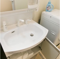 Standard double　washbasin
